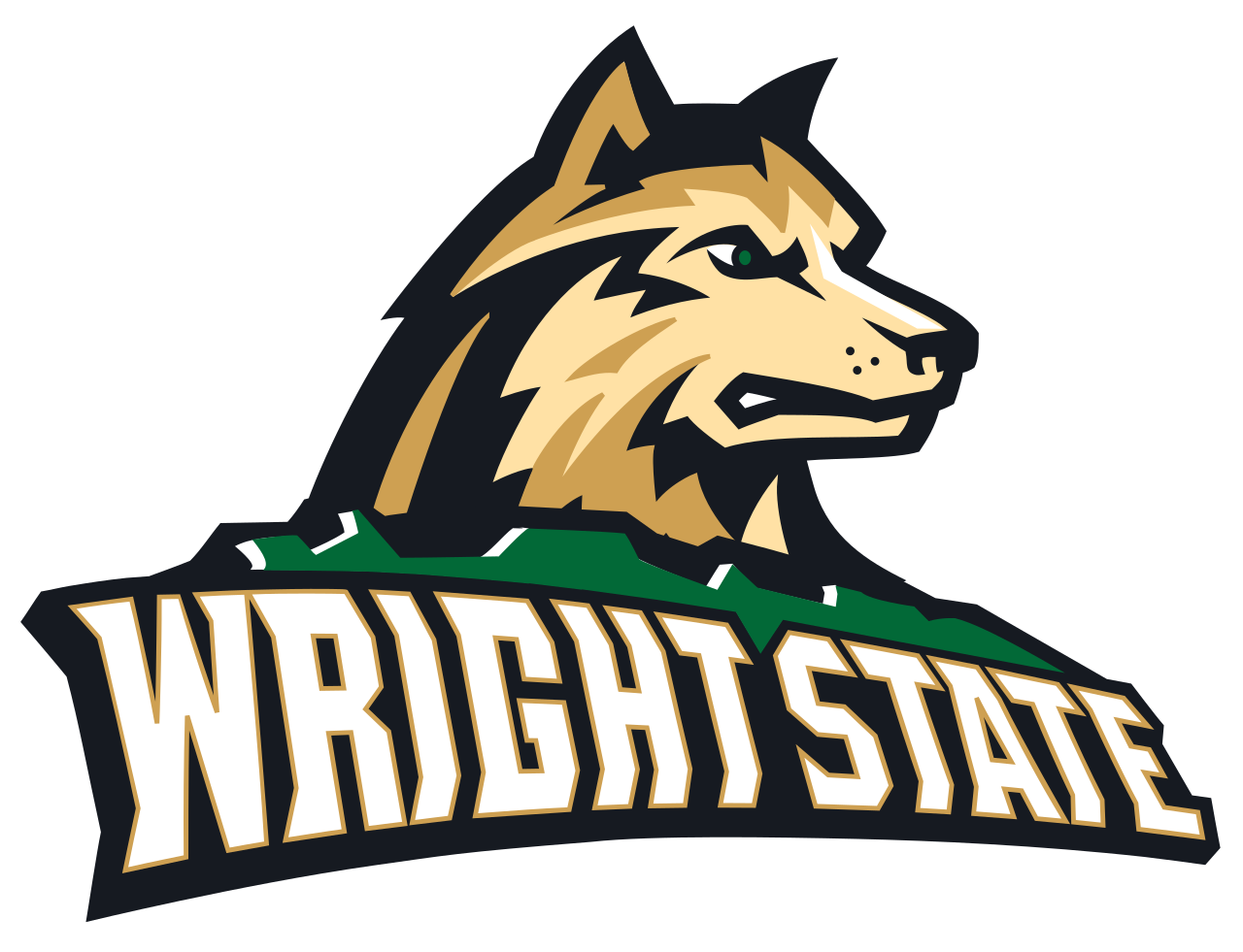 Wright State names Joylynn Brown next athletics director
